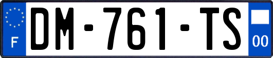 DM-761-TS
