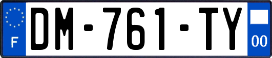 DM-761-TY