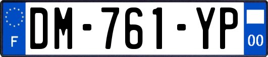 DM-761-YP