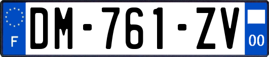 DM-761-ZV