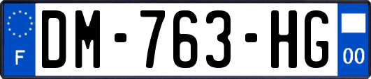 DM-763-HG