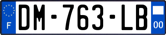 DM-763-LB
