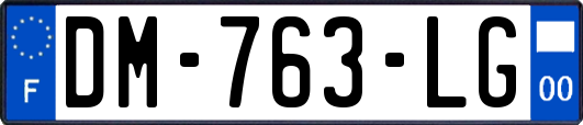 DM-763-LG