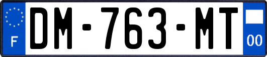 DM-763-MT