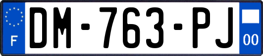 DM-763-PJ