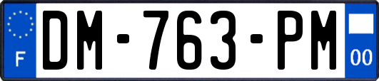 DM-763-PM