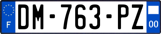 DM-763-PZ