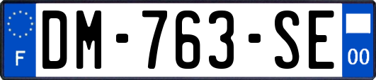 DM-763-SE