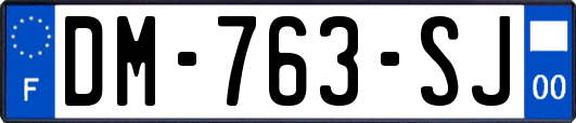 DM-763-SJ
