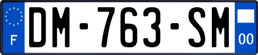 DM-763-SM