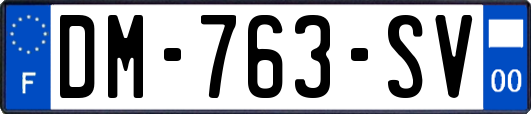 DM-763-SV