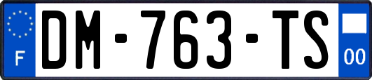 DM-763-TS