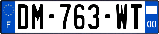 DM-763-WT