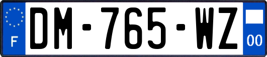 DM-765-WZ