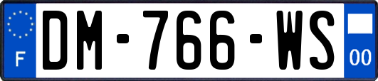 DM-766-WS