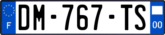 DM-767-TS