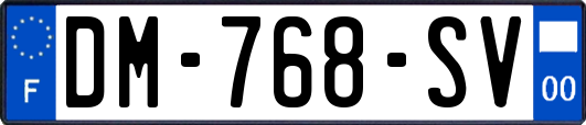 DM-768-SV