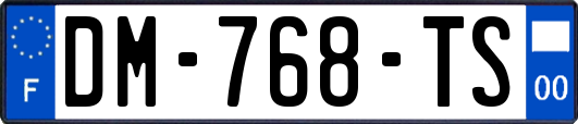 DM-768-TS