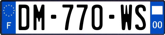 DM-770-WS