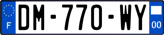 DM-770-WY