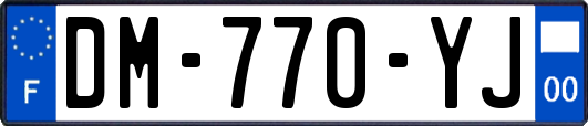 DM-770-YJ