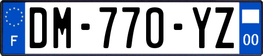 DM-770-YZ