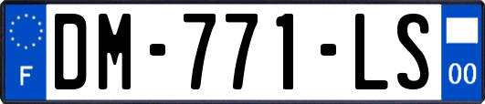DM-771-LS