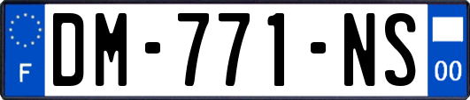 DM-771-NS