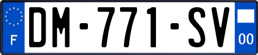 DM-771-SV