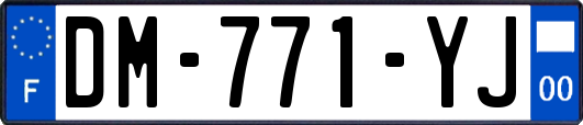 DM-771-YJ