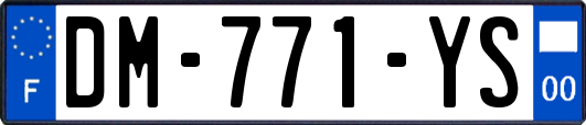 DM-771-YS