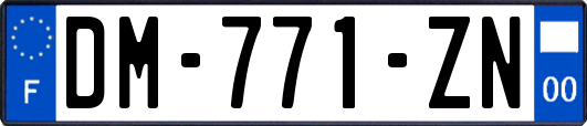 DM-771-ZN