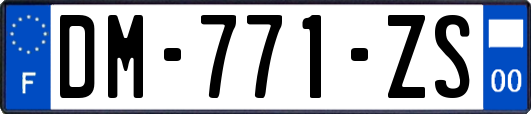 DM-771-ZS