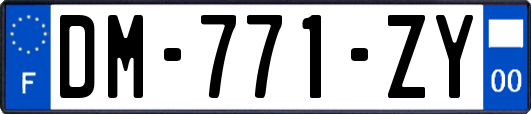 DM-771-ZY