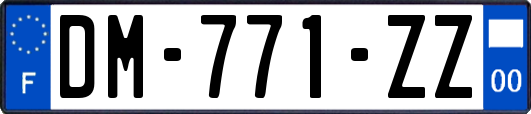 DM-771-ZZ