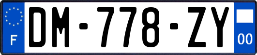 DM-778-ZY