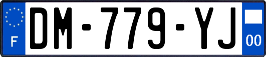 DM-779-YJ