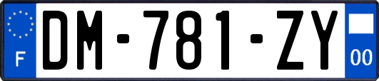 DM-781-ZY