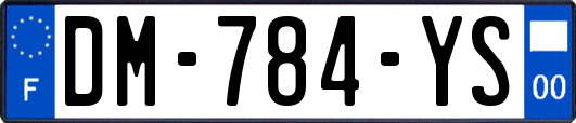 DM-784-YS