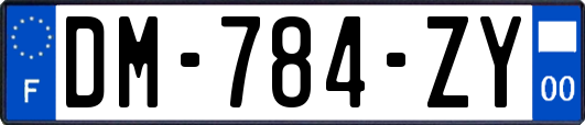 DM-784-ZY