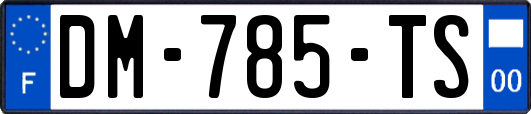 DM-785-TS