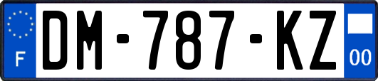 DM-787-KZ