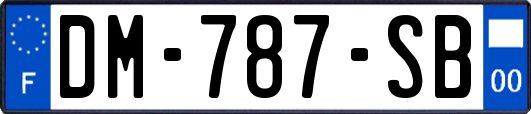 DM-787-SB