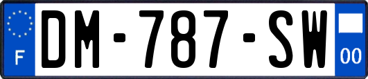 DM-787-SW
