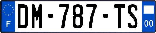 DM-787-TS