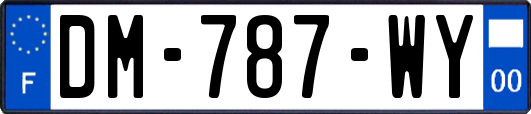 DM-787-WY