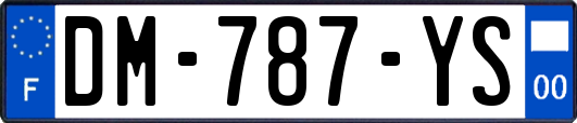 DM-787-YS