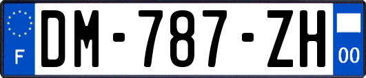 DM-787-ZH