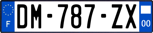 DM-787-ZX