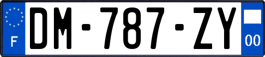 DM-787-ZY